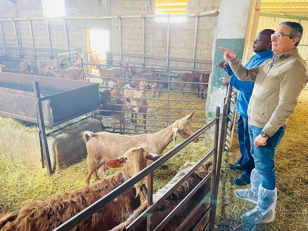 La Diputación y la Asociación Arrabal impulsan la ganadería caprina para luchar contra el despoblamiento