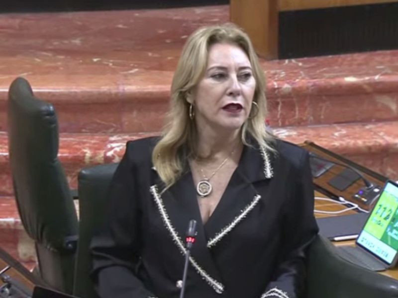 La consejera de Economía pide al Gobierno "dinero de los PERTE para Andalucía, como ha hecho con Cataluña y Valencia"