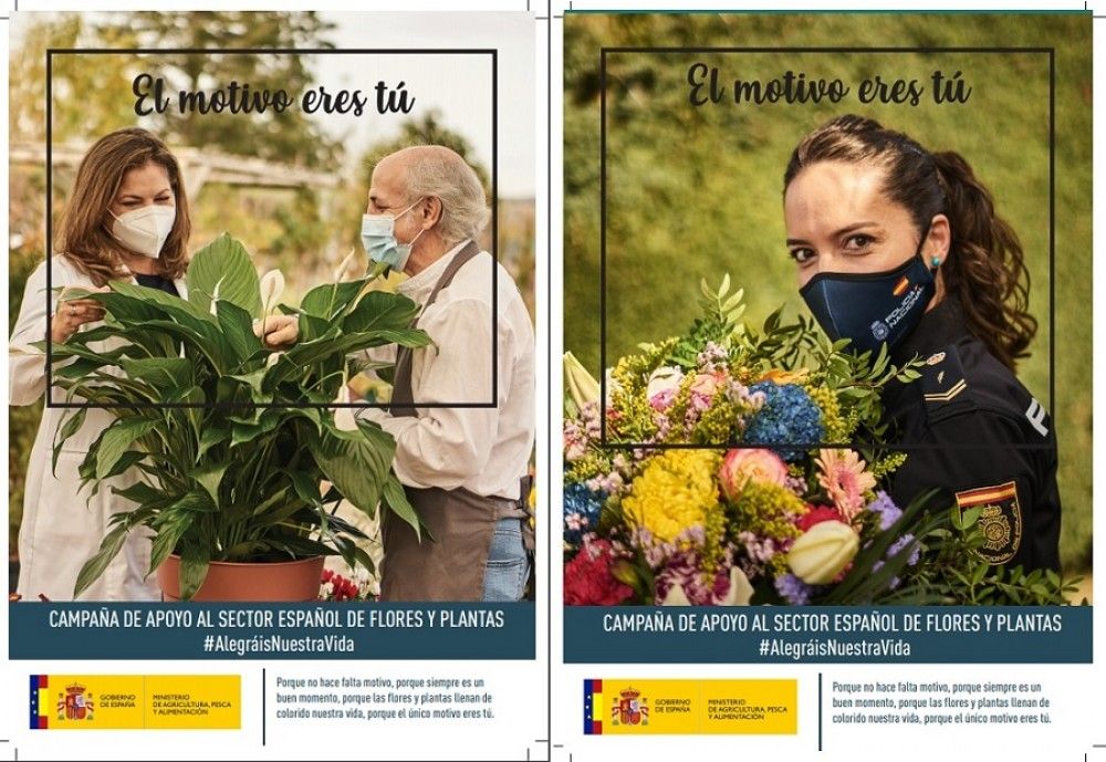 Una campaña del Ministerio de Agricultura anima a desestacionalizar el consumo de flores y plantas ornamentales