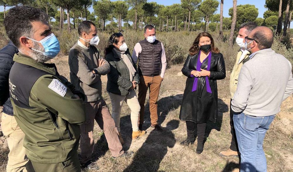 La Consejería de Agricultura destinará 3 millones de euros para restaurar montes públicos de Doñana afectados por el incendio de Las Peñuelas