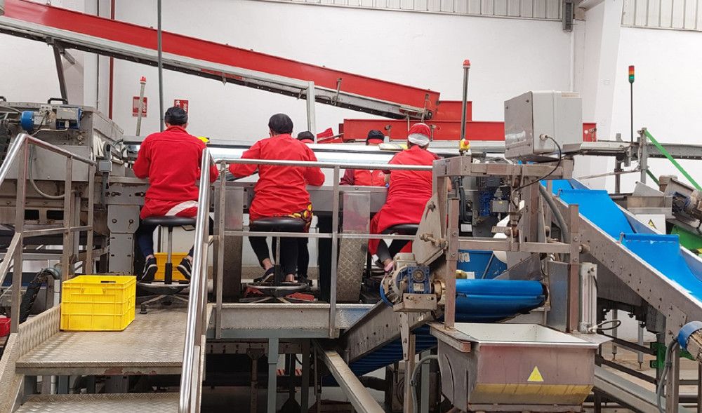 Las sociedades mercantiles en Andalucía crecen un 29,5% neto interanual en junio