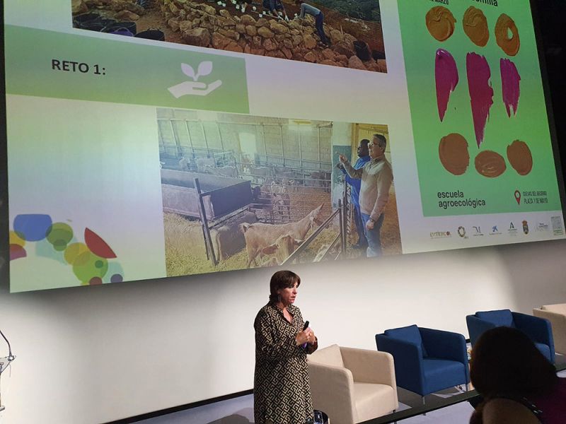 La Noria presenta su estrategia en innovación y emprendimiento social en el Island Summit de Canarias