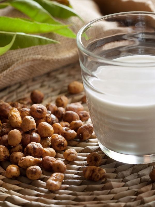 Consumir horchata natural produce cambios beneficiosos en la microbiota intestinal