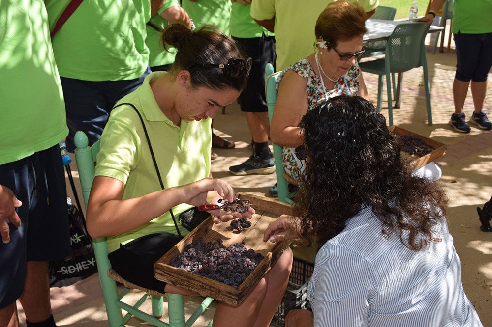 Cerca de 300 personas participan en las actividades de La Noria para conocer la uva moscatel como oportunidad de emprendimiento social en la Axarquía