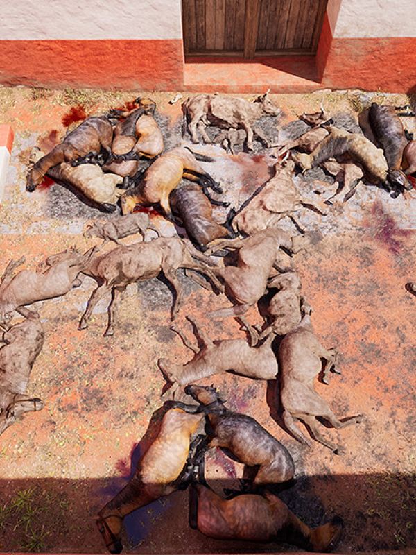 Desvelan el ritual del mayor sacrificio de animales en el Mediterráneo occidental