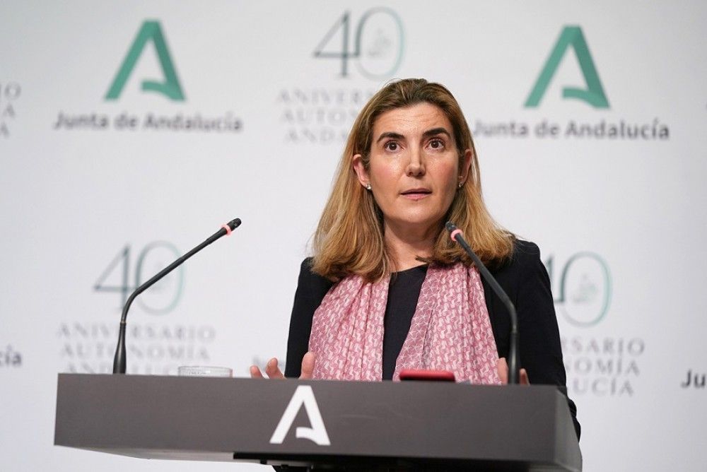 El SERCLA ofrecerá de forma permanente el modelo de mediación laboral "online" junto al presencial