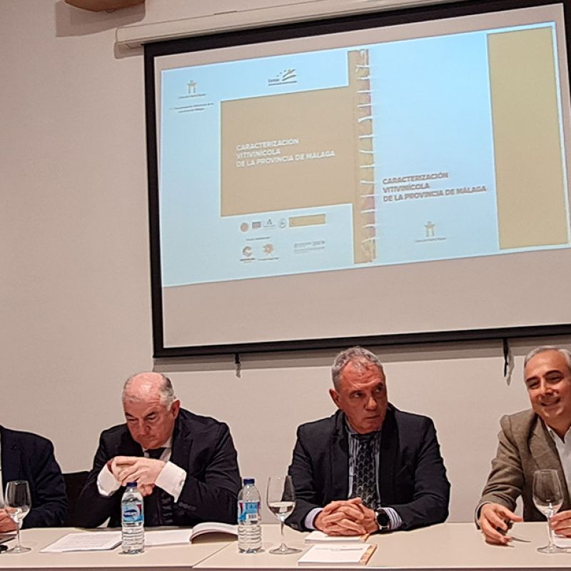 La Diputación presenta un libro sobre las distintas zonas de producción vinícola de la provincia
