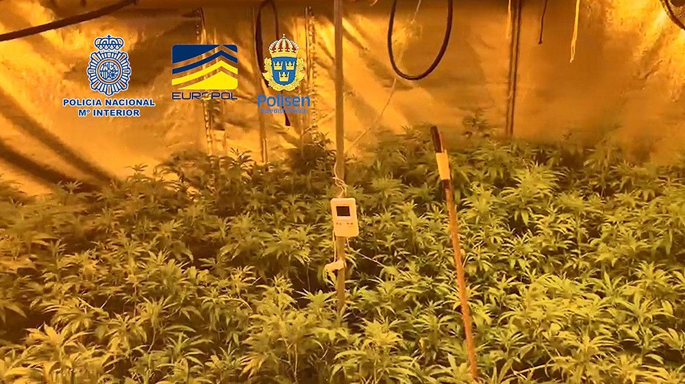 Detenidas 19 personas pertenecientes a una organización criminal dedicada al tráfico de drogas por carretera entre España y Suecia