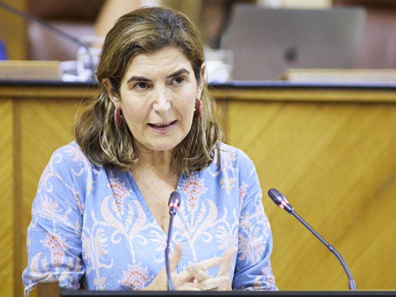El Parlamento convalida el decreto de ayudas a pymes y autónomos por sobrecoste energético