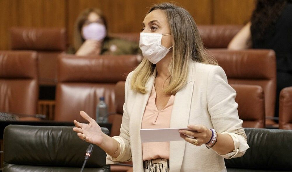 La actuación de la Inspección urbanística aumenta un 60% en 2020, con 808 expedientes tramitados