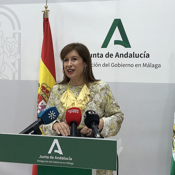 Málaga celebra el Día del Flamenco con más de 20 actividades en la provincia