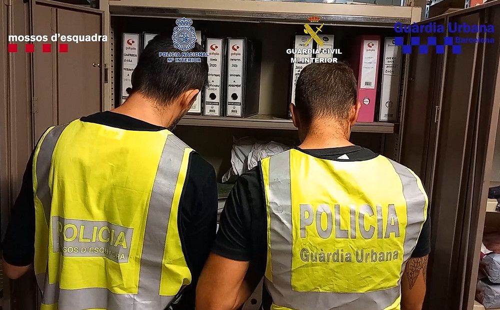 Detenidas 13 personas y rescatados más de 400 animales de compañía en la primera operación conjunta de los cuatro cuerpos policiales