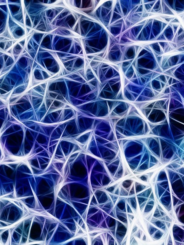 Identifican nuevas proteínas reguladoras implicadas en la formación de los circuitos neuronales