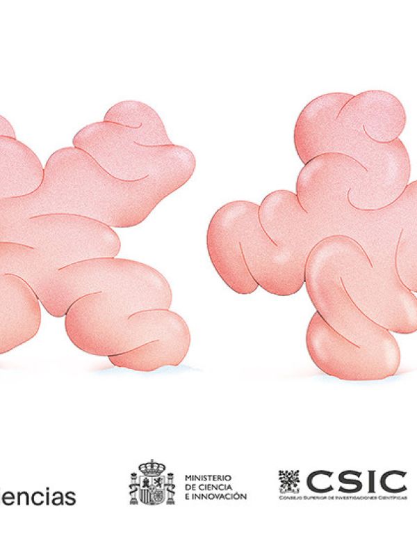 CSIC X+: la "ceRebración" de la Navidad para toda la familia