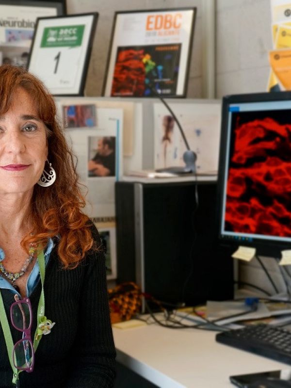 La investigadora del IBMB-CSIC Elisa Martí, nuevo miembro de la EMBO