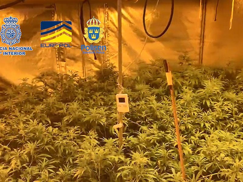 Detenidas 19 personas pertenecientes a una organización criminal dedicada al tráfico de drogas por carretera entre España y Suecia
