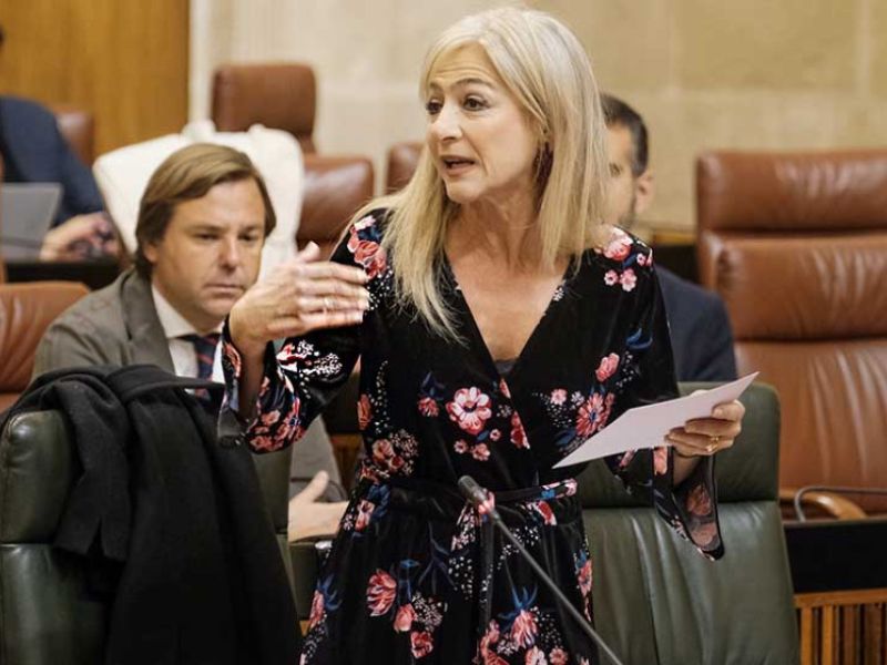 El sistema educativo andaluz cuenta con 1.022 aulas públicas más que en 2018 pese al descenso de la natalidad