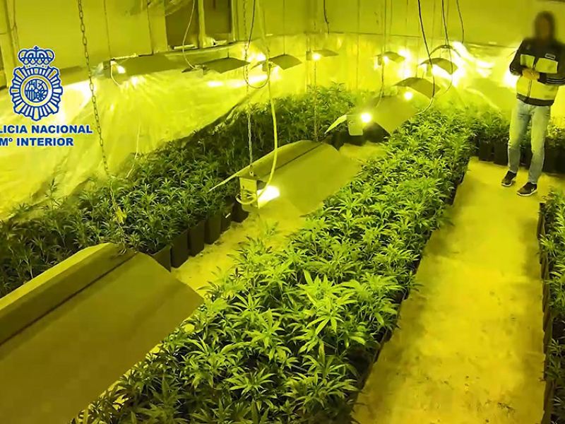 La Policía Nacional desarticula una organización criminal vinculada al clan Kavac dedicada al tráfico de drogas