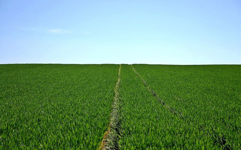 Investigadores del IAS-CSIC y de la UCO desarrollan un dispositivo para medir la evaporación de agua en cultivos