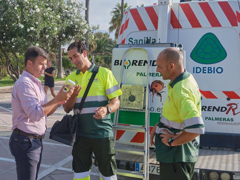 El Ayuntamiento refuerza el control biológico de plagas con la suelta de insectos beneficiosos que las combaten