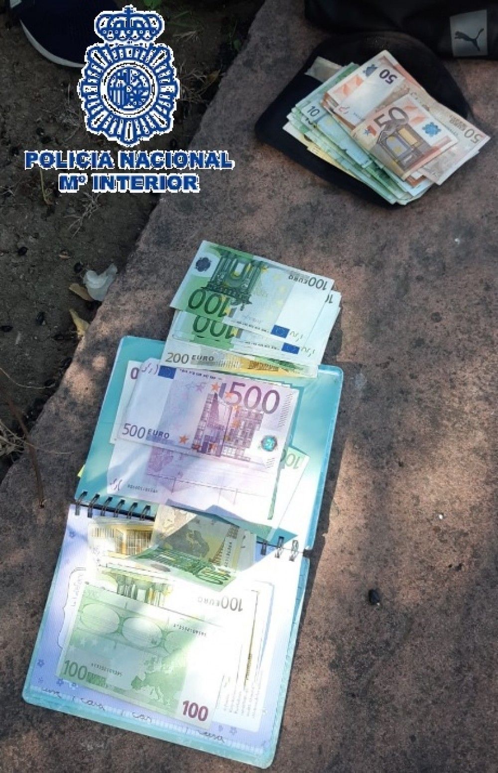 La Policía Nacional detiene en Estepona a una mujer por tenencia ilícita de armas tras interceptar el vehículo en que viajaba