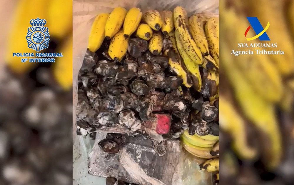 Incautados en el puerto de Málaga más de 600 kilos de cocaína ocultos en un cargamento de plátanos