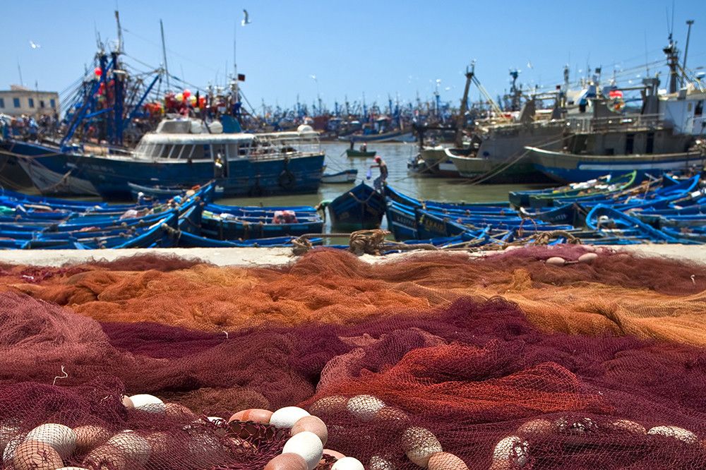 El BOE publica la nueva ley de pesca sostenible e investigación pesquera para su entrada en vigor