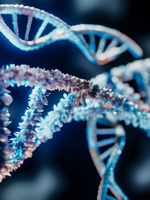 Un equipo del CSIC crea una herramienta bioinformática para obtener genomas de calidad