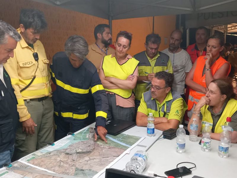 Ayer por la noche quedó estabilizado el incendio forestal de Puerto Real