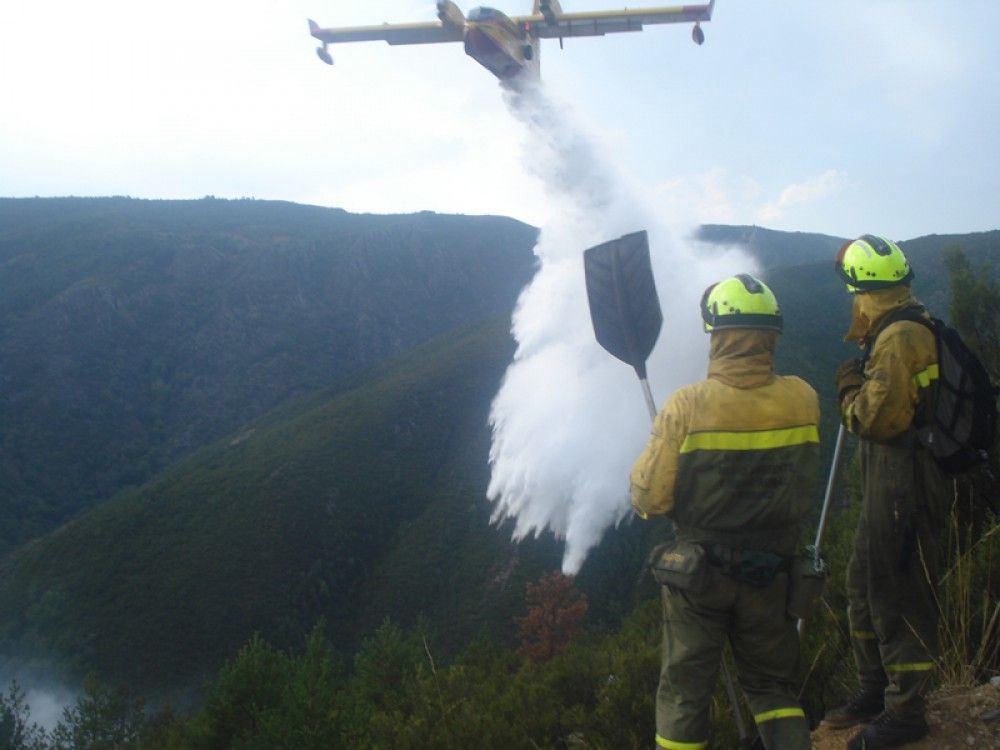 El MITECO aborda con las comunidades autónomas el despliegue de los medios del dispositivo de extinción de incendios forestales