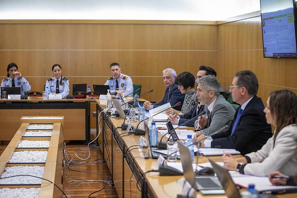 Interior analiza con los expertos de los cuerpos policiales los asesinatos machistas cometidos en 2022