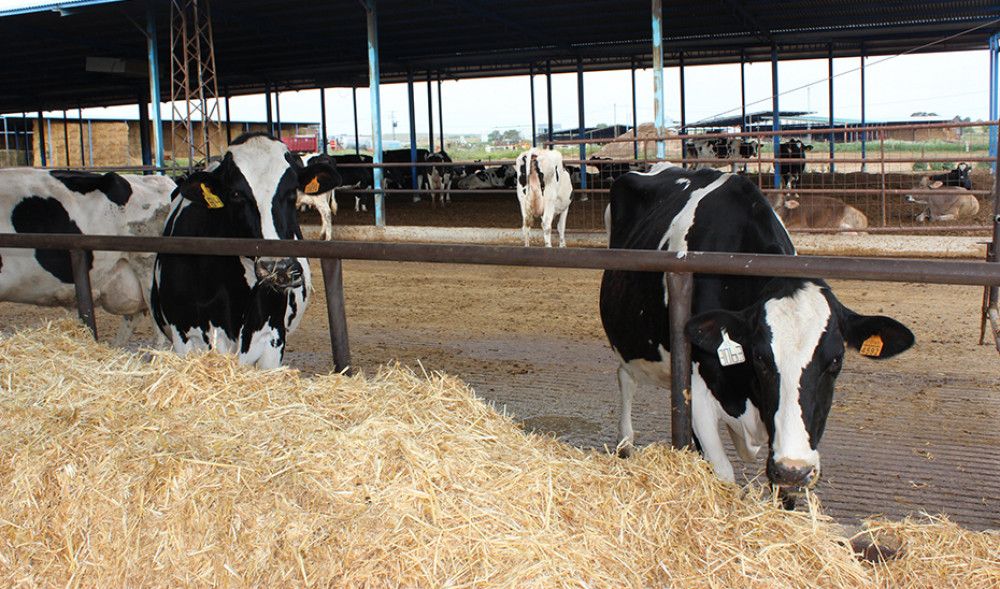 La Junta insta al Gobierno central a pedir ayudas agrícolas europeas excepcionales por la sequía
