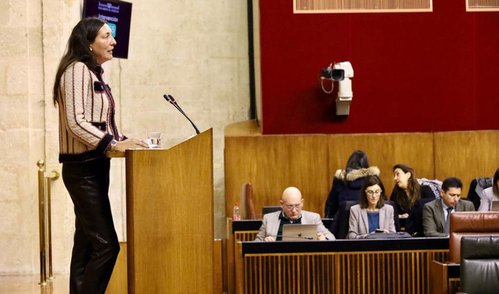 Inclusión Social destaca que la Renta Mínima "ayuda a todas las familias que deja fuera el Ingreso Mínimo Vital del Gobierno"