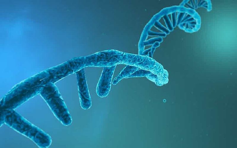 Identifican más de 20.000 nuevos agentes infecciosos de ARN circular
