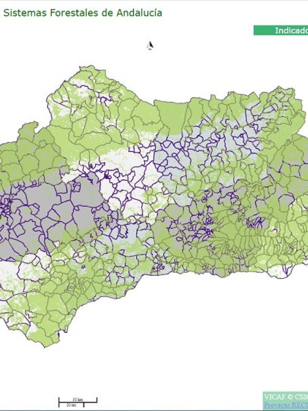Desarrollan una herramienta para estimar el valor económico de los recursos naturales