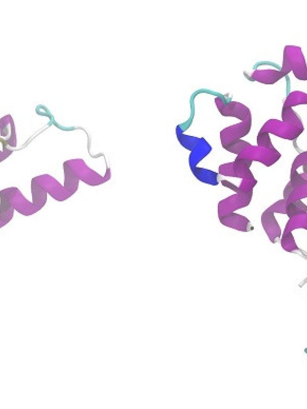Un paso de gigante en ciencia permite determinar la estructura 3D de las proteínas