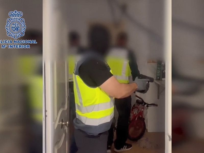 La Policía Nacional interviene 1.000 plantas de marihuana con el desmantelamiento de cuatro laboratorios en pisos de Málaga