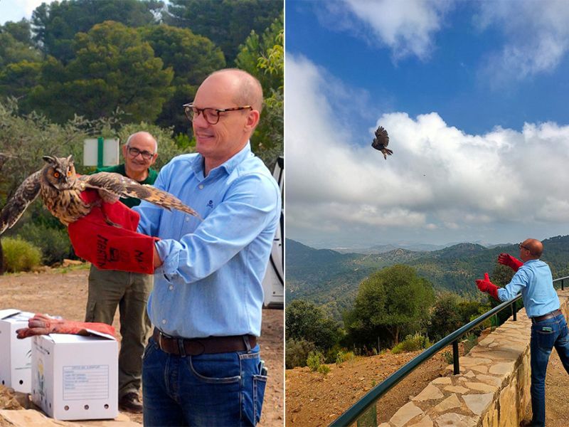 El delegado de Sostenibilidad participa en la suelta de dos búhos en los Montes de Málaga