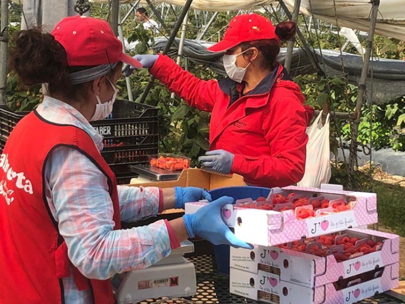 Andalucía registra un descenso del paro con 8.780 desempleados menos en junio