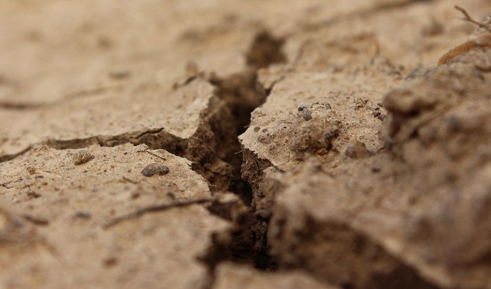 Autorizada la obra en el embalse de Guadalcacín, que mejorará el abastecimiento de 19 localidades