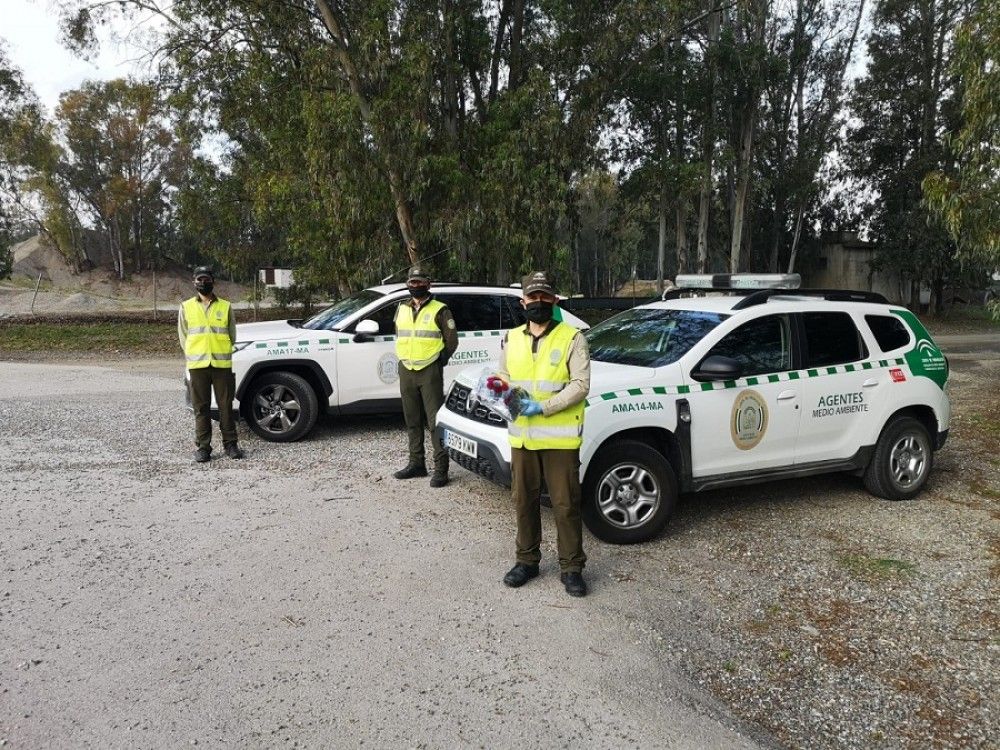 Agentes de Medio Ambiente colaboran con la iniciativa ciudadana de cónfección de mascarillas en Alhaurín el Grande