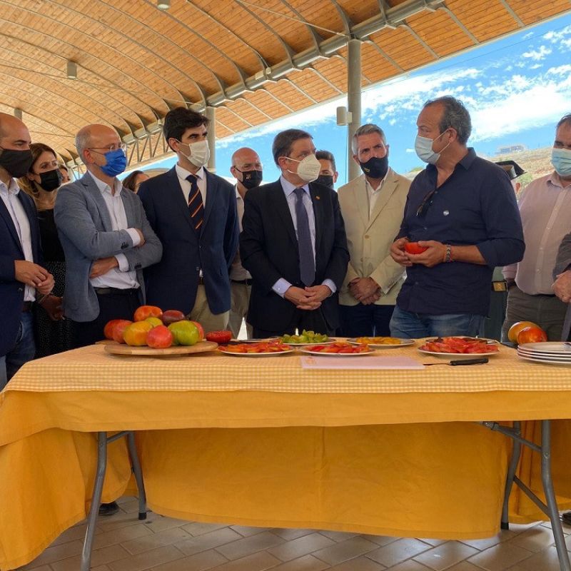 El ministro de Agricultura visita en Coín una explotación de Tomate Huevo de Toro y el Mercado Agroalimentario del Guadalhorce Sabor a Málaga’