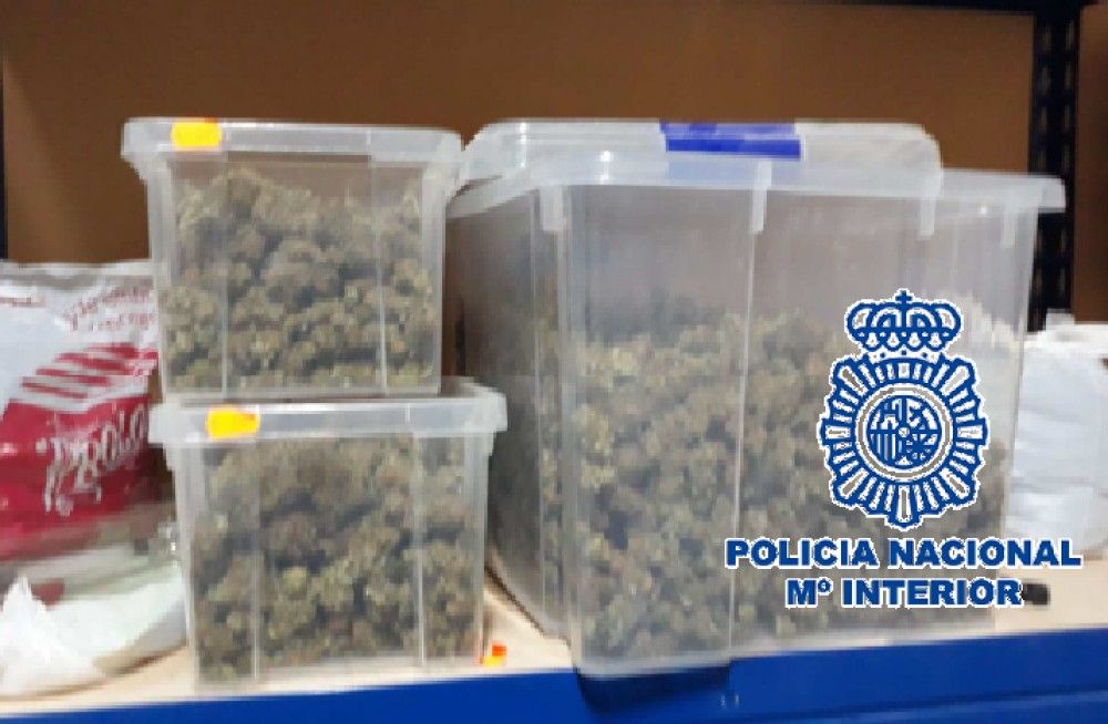 La Policía Nacional desmantela en Cártama una plantación clandestina con 282 plantas de marihuana