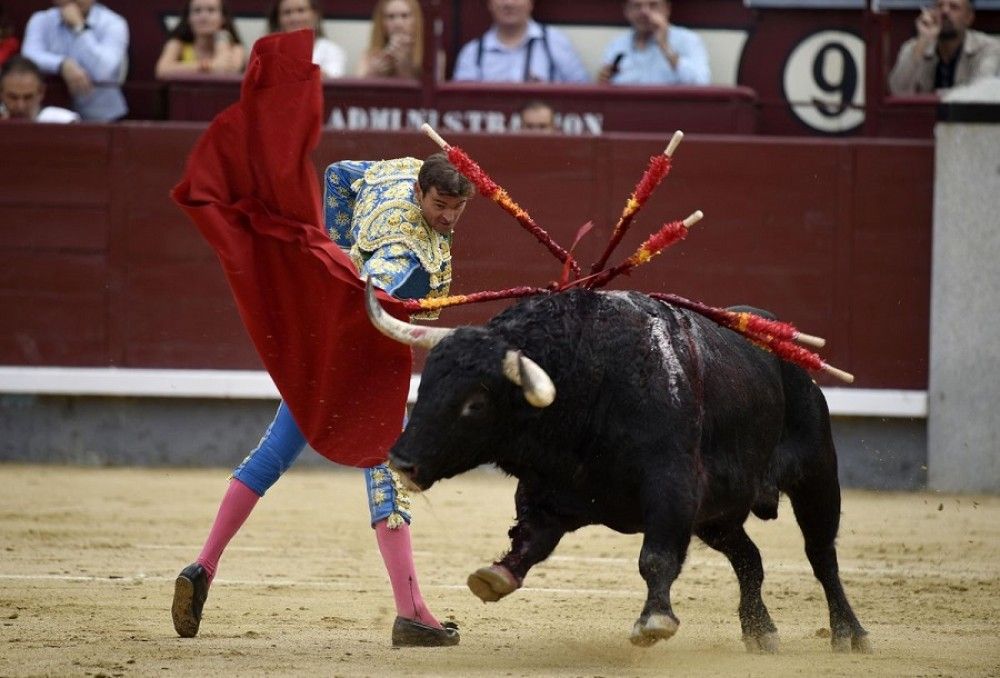 La faena de un torero no puede ser registrada como obra objeto de propiedad intelectual