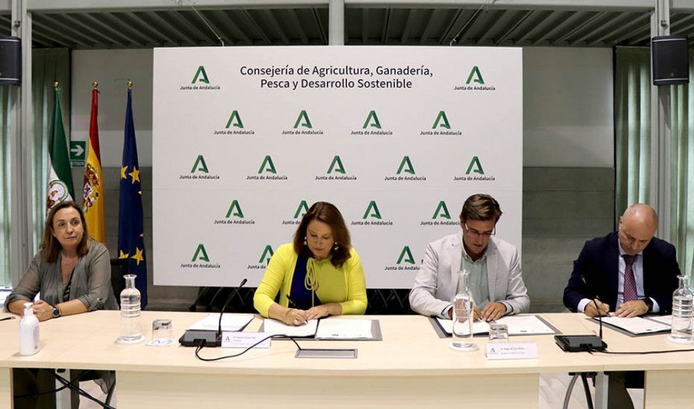 La Junta y Villalba del Alcor colaboran para convertir una antigua bodega en el futuro centro de visitantes
