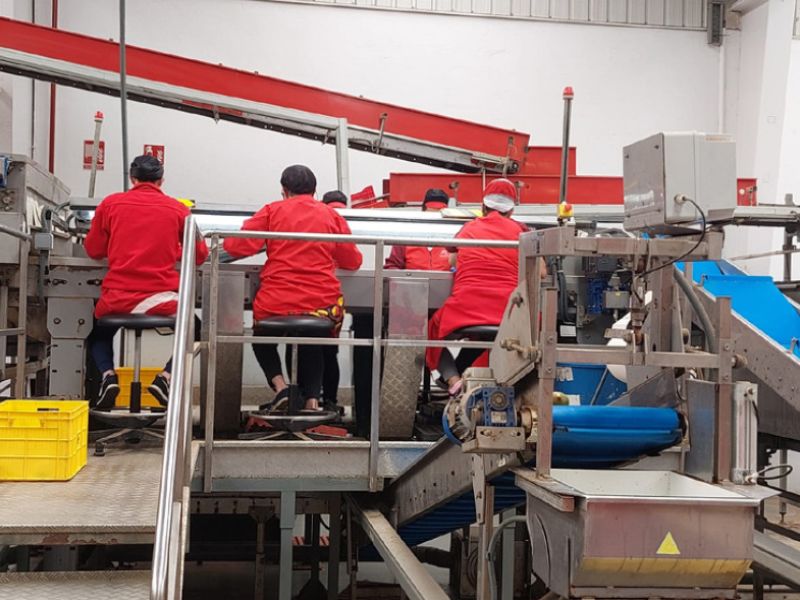Las sociedades mercantiles en Andalucía crecen un 29,5% neto interanual en junio