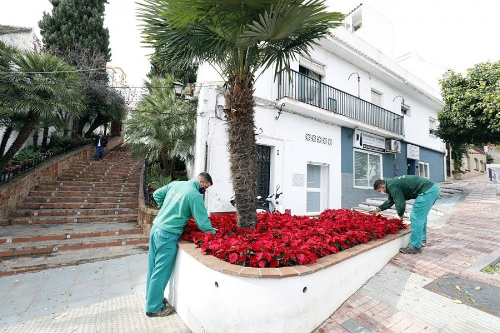 Servicios Operativos planta pascueros en los principales accesos, barrios y áreas comerciales de cara a la Navidad