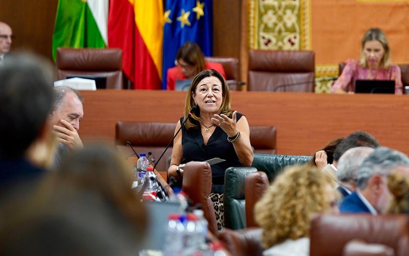 El 95% del alumnado andaluz del primer ciclo de Infantil tiene educación gratuita este curso