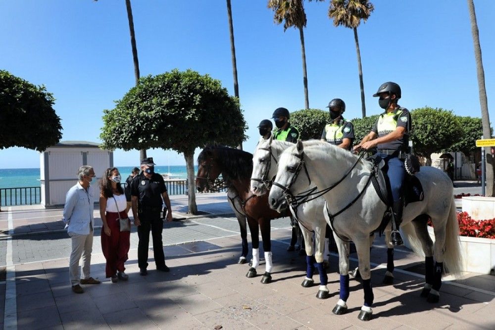 La Policía Local amplía el Escuadrón de Caballería con la incorporación de cuatro nuevos ejemplares en el marco de un convenio con la Yeguada de la Cartuja
