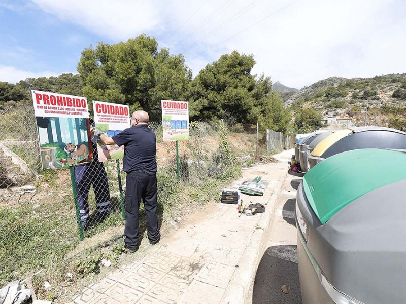 El Ayuntamiento refuerza las medidas para controlar la población de jabalíes en el municipio con una campaña informativa y con la colocación de jaulas trampa